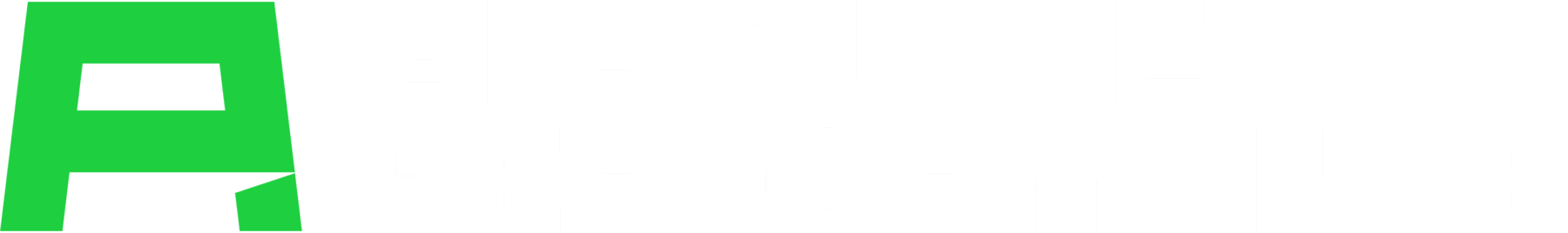 Absolute Performance Logo